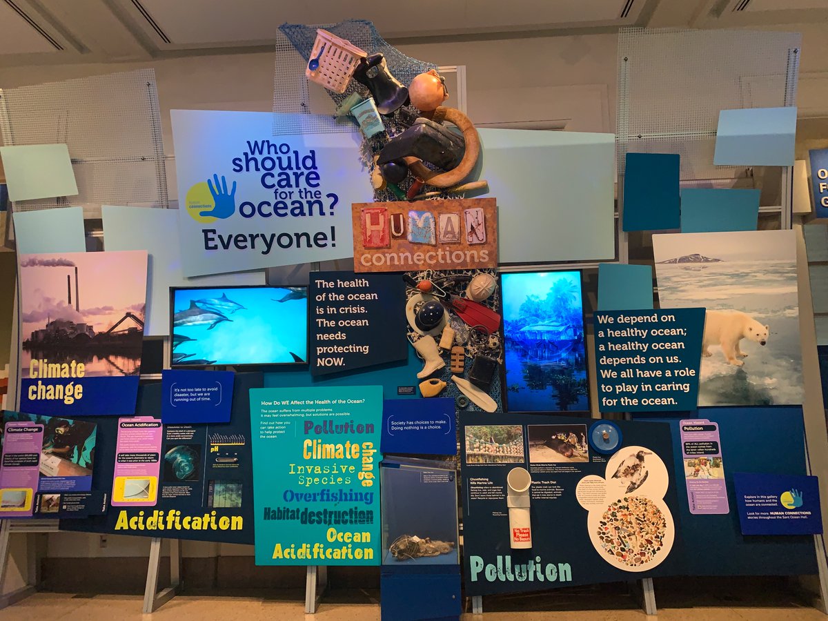 Anthony Nesbit tweet media