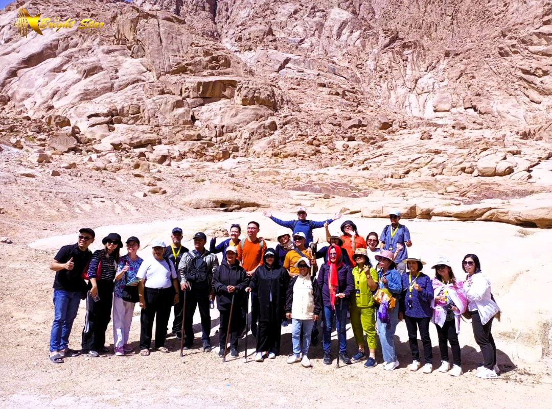 Bright Star Tours tweet media