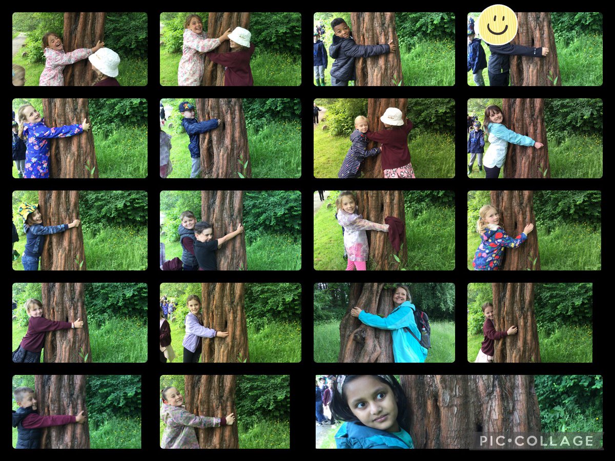 RTPS Y3B tweet media