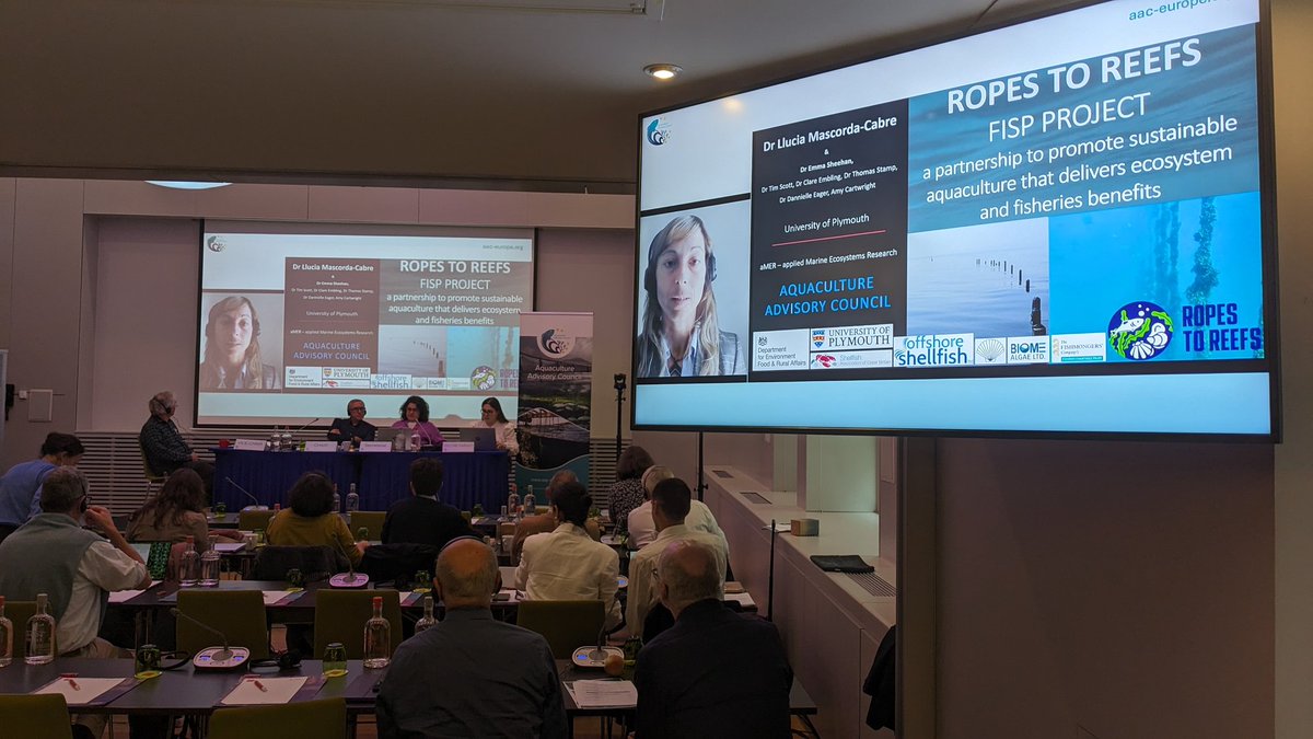 Shellfish Association of GB (@sagb) on Twitter photo Well done <a href="/LluciaMascorda/">Llucia_MascordaCabre</a> for delivering an excellent presentation at <a href="/aac_europe/">Aquaculture Advisory Council</a> on the Ropes to Reef project which SAGB is involved with. Great insight on the #ecosystemservices of #aquaculture 🐟🐚🦐 Well done <a href="/LluciaMascorda/">Llucia_MascordaCabre</a> for delivering an excellent presentation at <a href="/aac_europe/">Aquaculture Advisory Council</a> on the Ropes to Reef project which SAGB is involved with. Great insight on the #ecosystemservices of #aquaculture 🐟🐚🦐