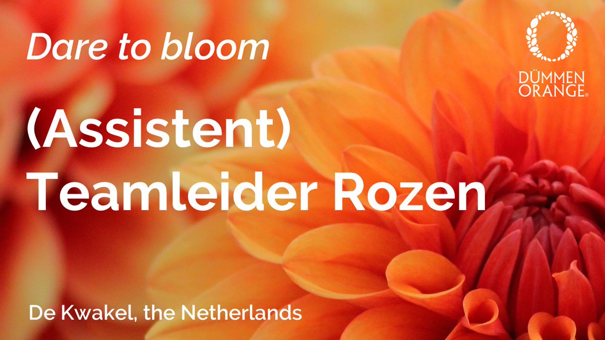 DummenOrangeEU's tweet photo. (Assistent) Teamleider Rozen @ De Kwakel (the Netherlands)! Click here for more information: (Assistent) Teamleider Rozen - Vacatures - (https://t.co/WIk1yWUOor) https://t.co/2cOrkSgjjT
