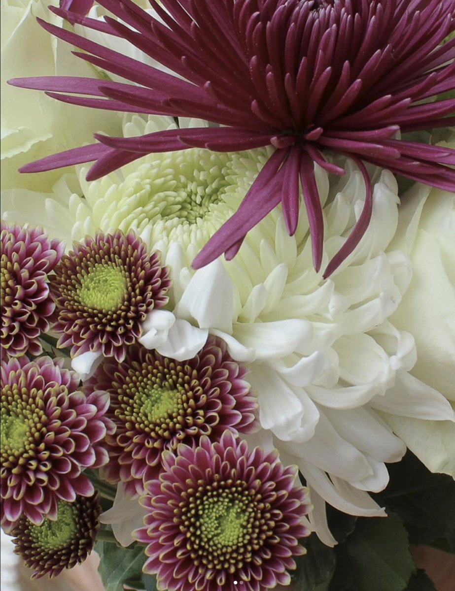 FLORES EL CAPIRO S.A tweet media