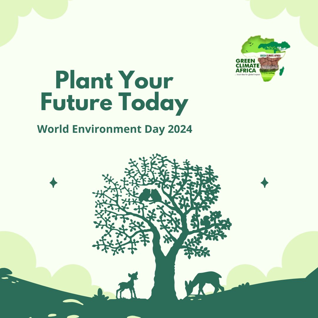 Green Climate Africa tweet media