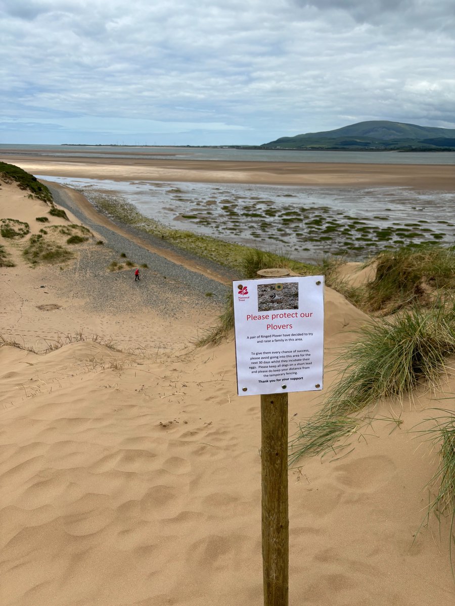 NT Sandscale Haws NNR tweet media