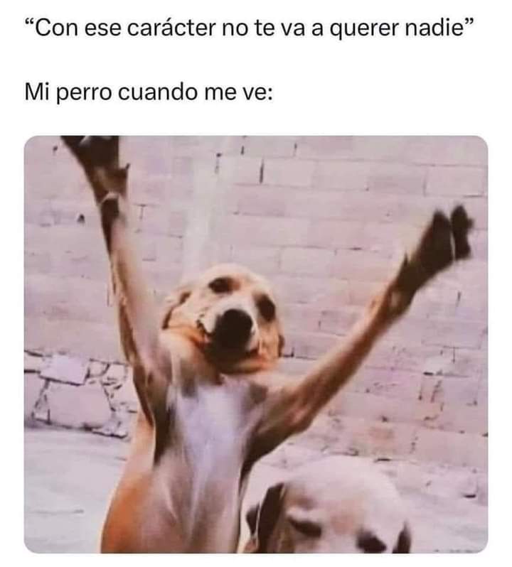 🥰🥰🥰🥰