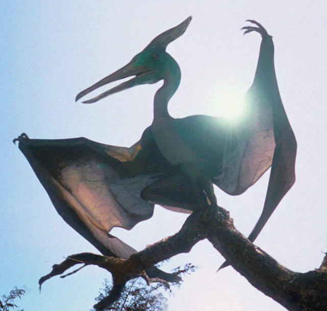 ChrisLikesDinos's tweet photo. New dinosaur species not seen in the movie will appear in Jurassic Park: Survival!
Will we finally see Metriacanthosaurus, Proceratosaurus, Segisaurus, & Herrerasaurus + later film species like Baryonyx, Stegosaurus, & Inland Pteranodons? https://t.co/kcw0PxQkvu