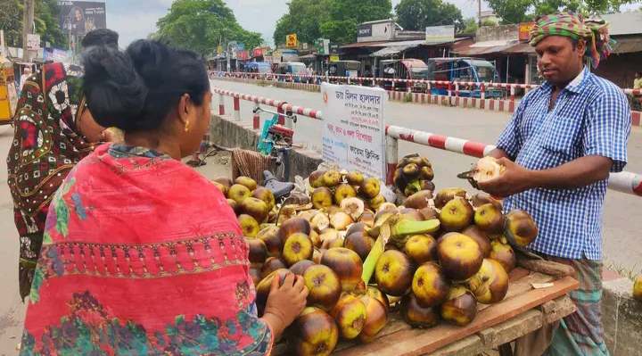 রাজশাহীর পুঠিয়াতে বেড়েছে তালের চাহিদা