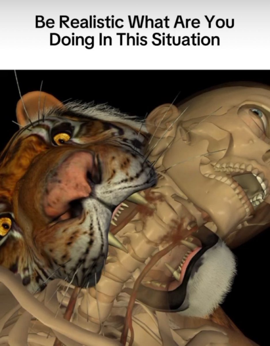 no context memes tweet media
