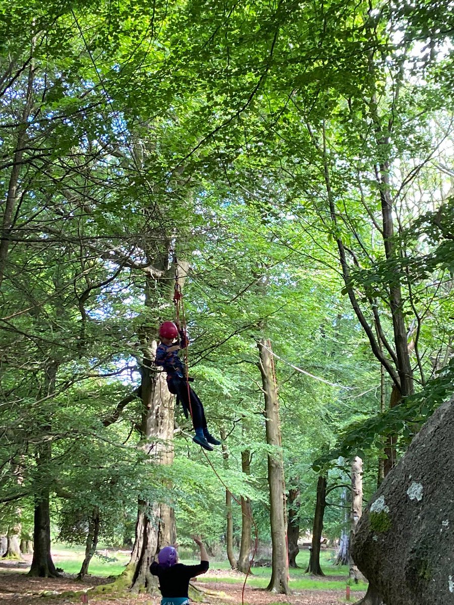 The Butts Primary tweet media