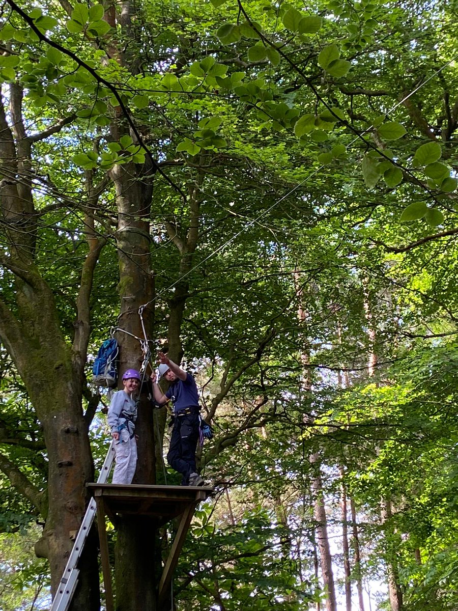 The Butts Primary tweet media