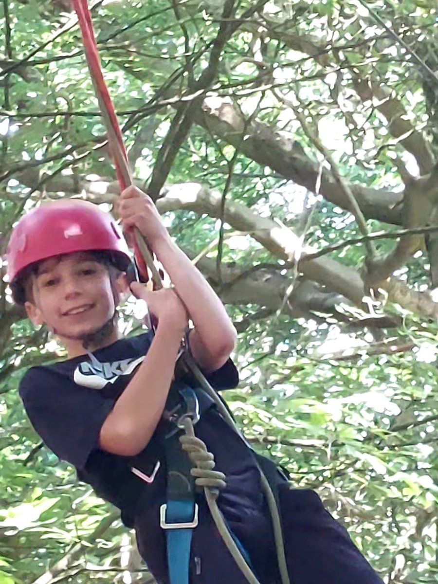 The Butts Primary tweet media