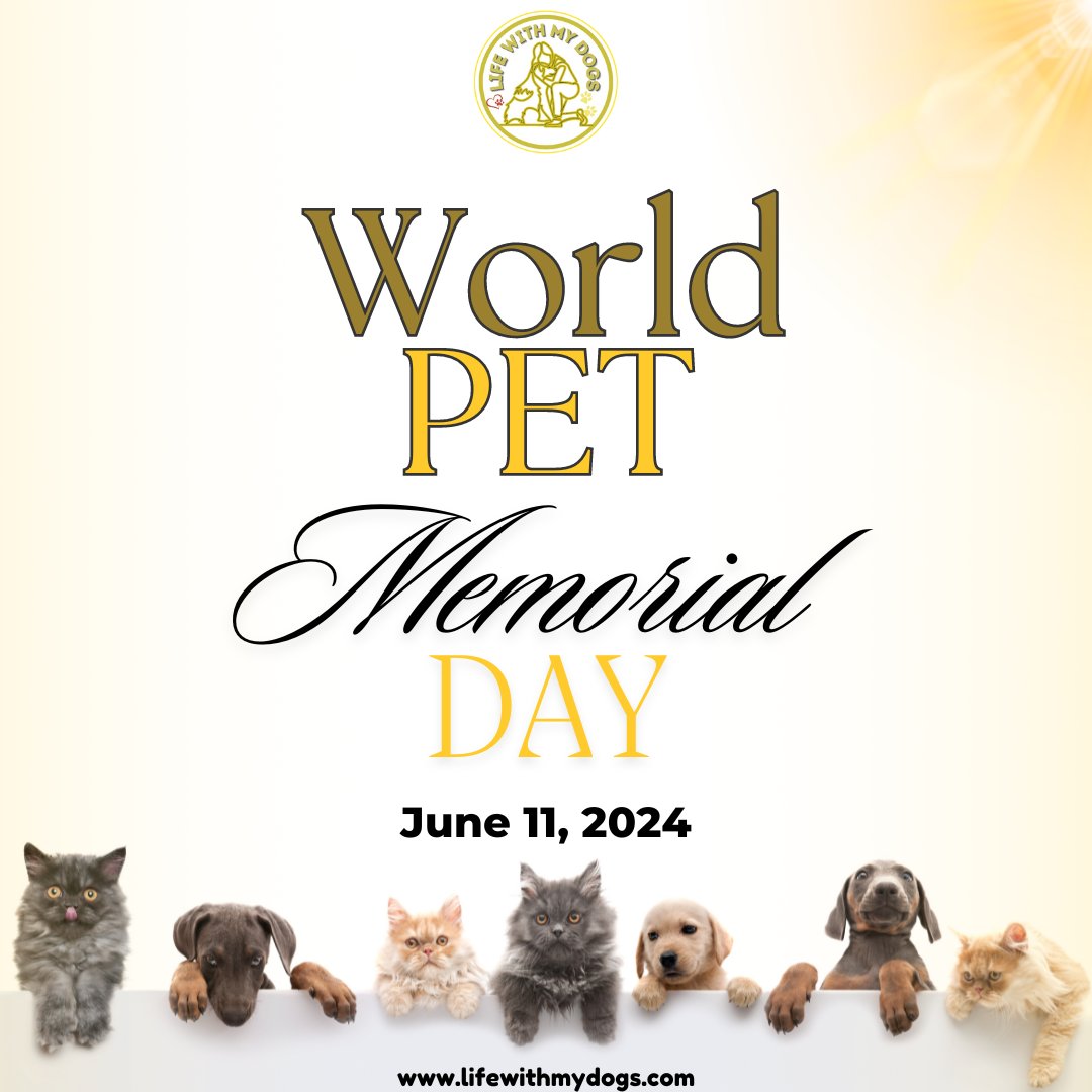 LifeWithMyDogs9's tweet photo. On World Pet Memorial Day, we honor and remember the cherished pets who have touched our lives. ๐พโค๏ธ #PetMemorialDay #RememberingPets #lifewithmydogs https://t.co/BDhHElWddj