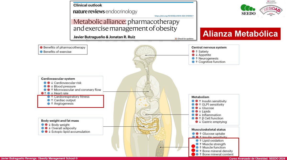La gente que vino al curso avanzado de #obesidad de la <a href="/SociedadSeedo/">Seedo</a> ¿se acuerda de está imagen que expliqué?

"Seguramente en el futuro veamos puntos rojos en el músculo y en el hueso" 

Pues ya ha pasado 
👇👇👇👇👇