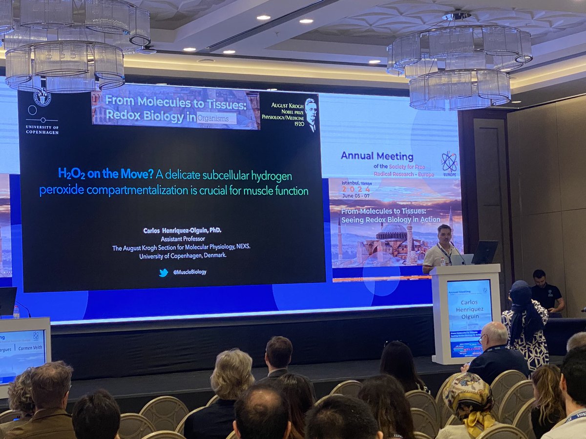sgallero_'s tweet photo. Had an incredible time at the @SFRR_Europe annual meeting last week. 🇹🇷 The event was packed with insightful talks and lots of fun. Truly happy and honored to received one of this year's Young Investigator awards. Special thanks to @tejensen23’s research group for the support 🤩. https://t.co/aIvhXk3O35