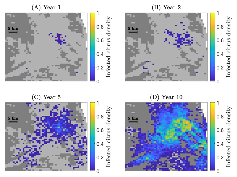 Nik Cunniffe (@nikcunniffe) on Twitter photo Citrus greening (HLB) has devastated the citrus industries in USA and Brazil. Invasion of the EU is possible, perhaps is even likely. How can spread modelling contribute to epidemiological preparedness? <a href="/JREllis_12/">John Ellis</a>'s work @plantsci shows how. Preprint at biorxiv.org/content/10.110… Citrus greening (HLB) has devastated the citrus industries in USA and Brazil. Invasion of the EU is possible, perhaps is even likely. How can spread modelling contribute to epidemiological preparedness? <a href="/JREllis_12/">John Ellis</a>'s work @plantsci shows how. Preprint at biorxiv.org/content/10.110…