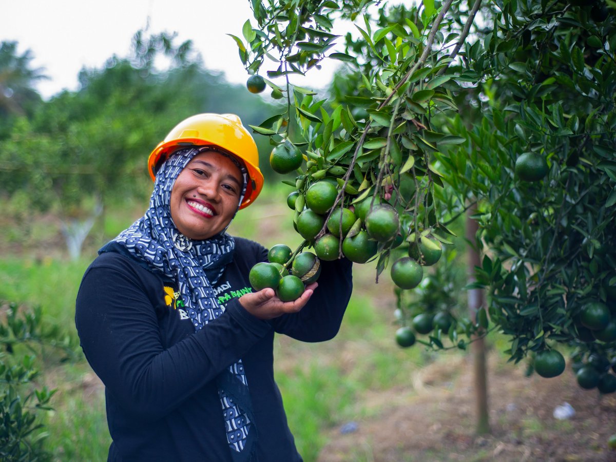 FONAP_DE's tweet photo. Das #FONAP-Mitgliederprojekt in #Indonesien schult Kleinbäuer*innen in regenerativer Landwirtschaft. 🌱🌿
💡Das fördert #Biodiversität und gesunde Böden.
Hier gibt es mehr Infos! 👉https://t.co/Cs1ofUaygR https://t.co/JKArbK2NiJ