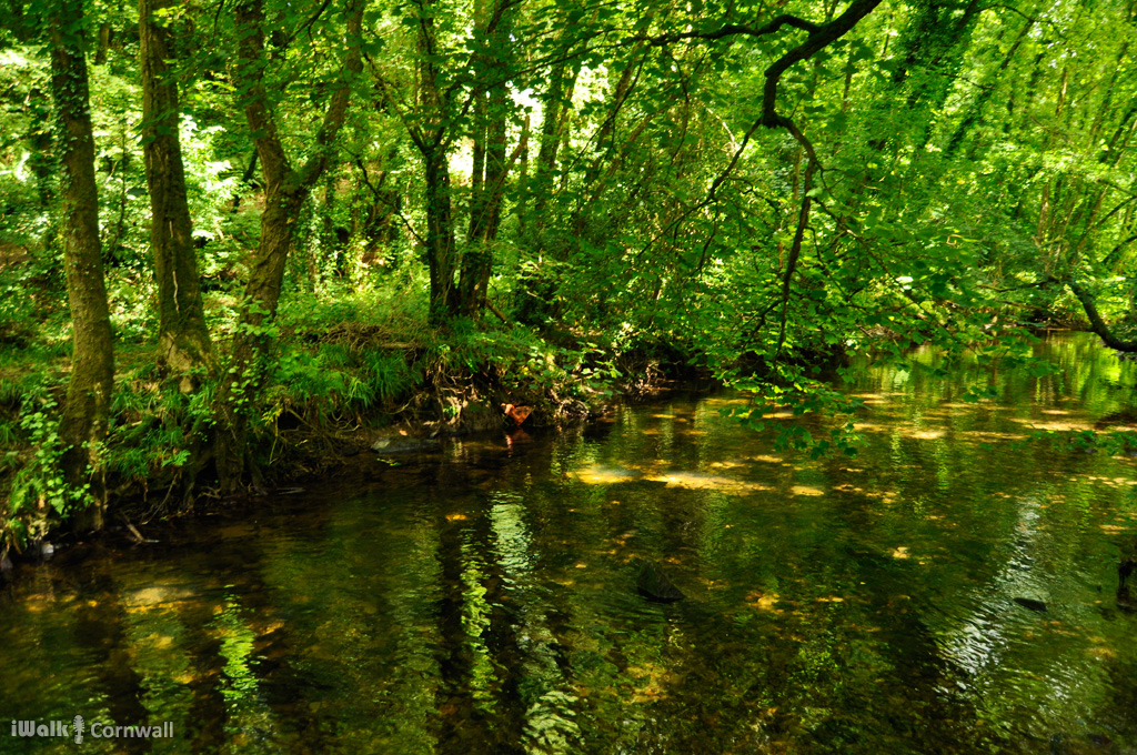 iwalkc's tweet photo. North Hill to Hawks Tor circular #walk
Length: 3.7 miles
Steepness grade: moderate-strenuous
Link to walk: https://t.co/VTQTjOpUN4
#BodminMoor #TamarValley #Launceston #Cornwall @coombemill @VisitTamar @jamaicainn @LauncestonTIC https://t.co/cMslV8bJWj