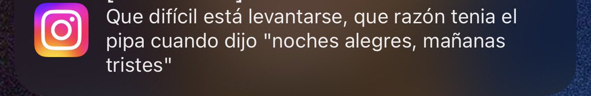 tal cual amiguito