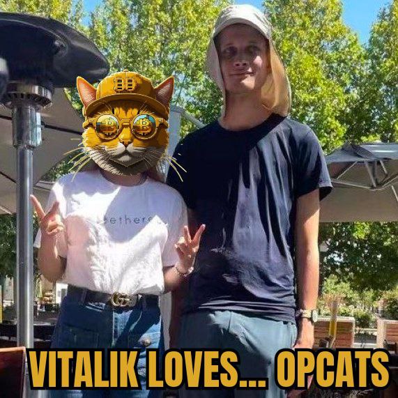 00xGuru's tweet photo. $OPCAT memes are Looking Good lolz
IFKYK https://t.co/wHqdEQJA7C