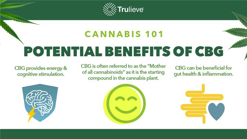 TrulieveGA's tweet photo. Elevate your knowledge with CBG! 🌿 #Trulieve #EYK #Wellness 

https://t.co/LEdjx3Aheg https://t.co/WpG1jT1QIx
