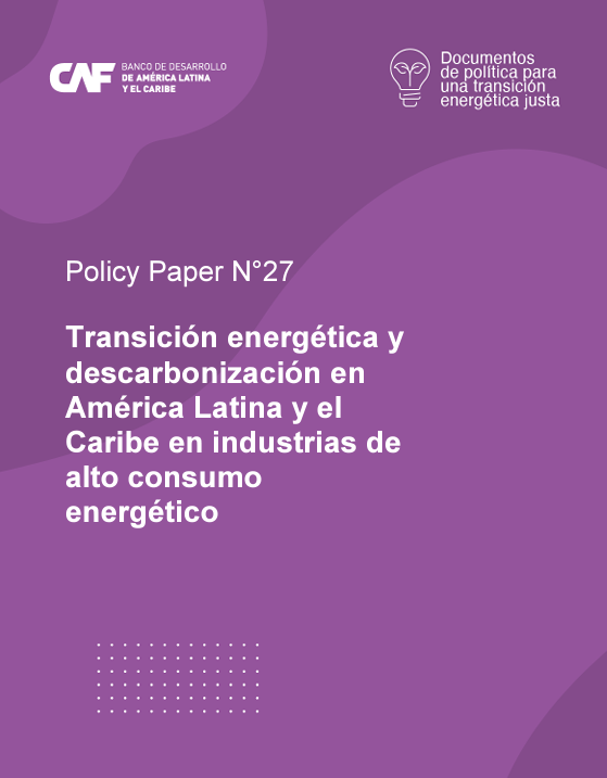 oscarpupor's tweet photo. Les comparto nuestro informe sobre transición energética del sector industrial en América Latina y el Caribe. Analizamos estrategias y obstáculos para industrias de cemento, acero y químicos. 🌍💼 #DescarbonizaciónALC #IndustriaSostenible @agonzal08  https://t.co/QWxootbXKQ https://t.co/z0GqNKWSSm