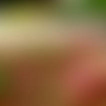 GeneralFoton's tweet image. Boulettes de viandes à la sauce tomate - Xíu mại sốt cà chua - Recette sco.lt/7ArtjM