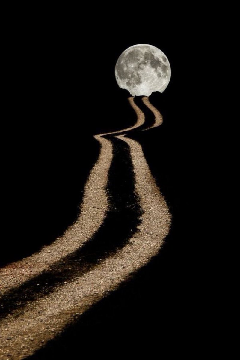 MOON LOVER tweet media