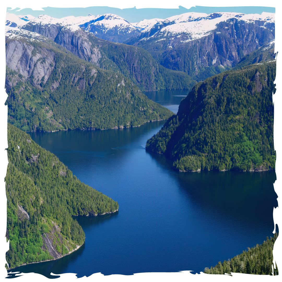 Discover the world's most stunning fjords ! Whether you go hiking, kayaking, or sailing, adventure awaits at these majestic natural wonders🏞️✨ Ready for the ultimate escape?

-Sognefjord, Norway
-Milford Sound, New Zealand
-Misty Fjords, Alaska
#OAS #Fjords #Intenationaltravel