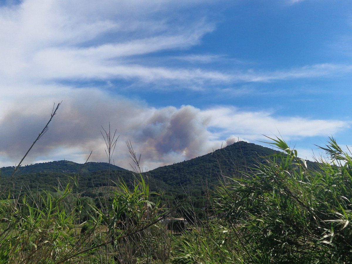 Alertes & Informations Incendie tweet media