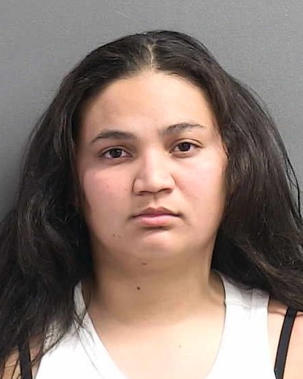 Volusia Sheriff tweet media