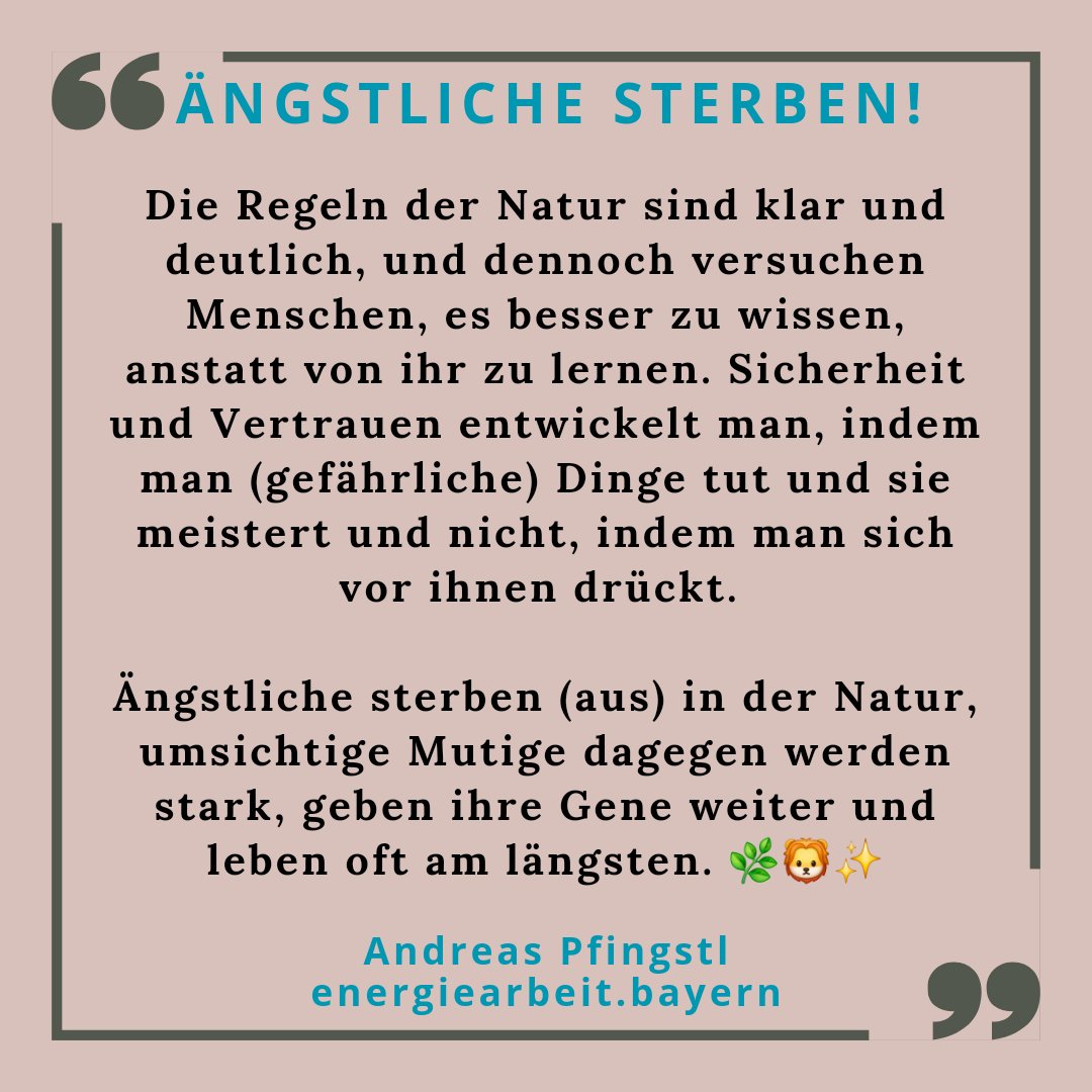 GeistheilerBY's tweet photo. #Ängstliche #sterben!

Die #RegelnderNatur sind klar und deutlich, und dennoch versuchen #Menschen, es besser zu #wissen, anstatt von ihr zu lernen. #Sicherheit und #Vertrauen entwickelt

#Natur #Mut #Lernen #Stärke #Überleben #Weisheit

Andreas Pfingstl 
https://t.co/hFkMjpbCds https://t.co/1rw20wEKU3