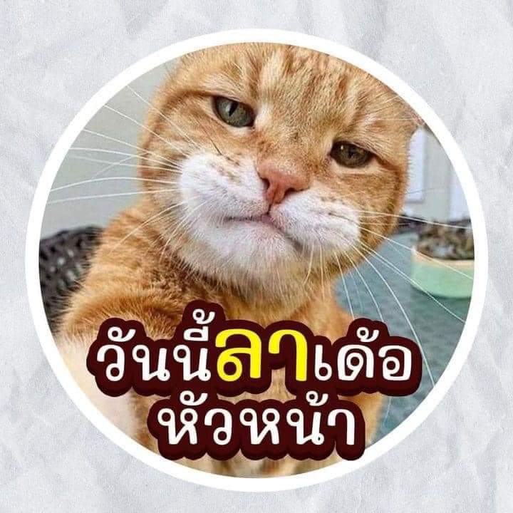 PonsatManot's tweet photo. #NewProfilePic https://t.co/rrjQEsEDgq