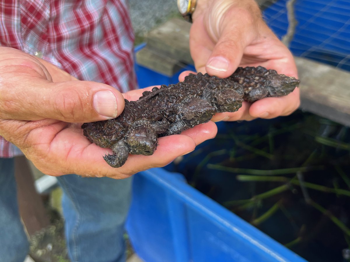 Air Products Louisiana Clean Energy Complex tweet media