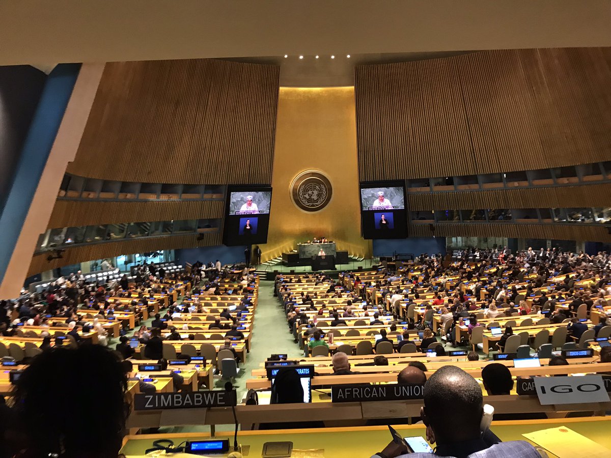 Today we are at #COSP17, the UN’s annual disability rights conference. 

We will be speaking to delegates about the ways that persons affected by leprosy may achieve their rights under the CRPD. 

We will also be looking for new partnerships, so please talk with us if you’re here