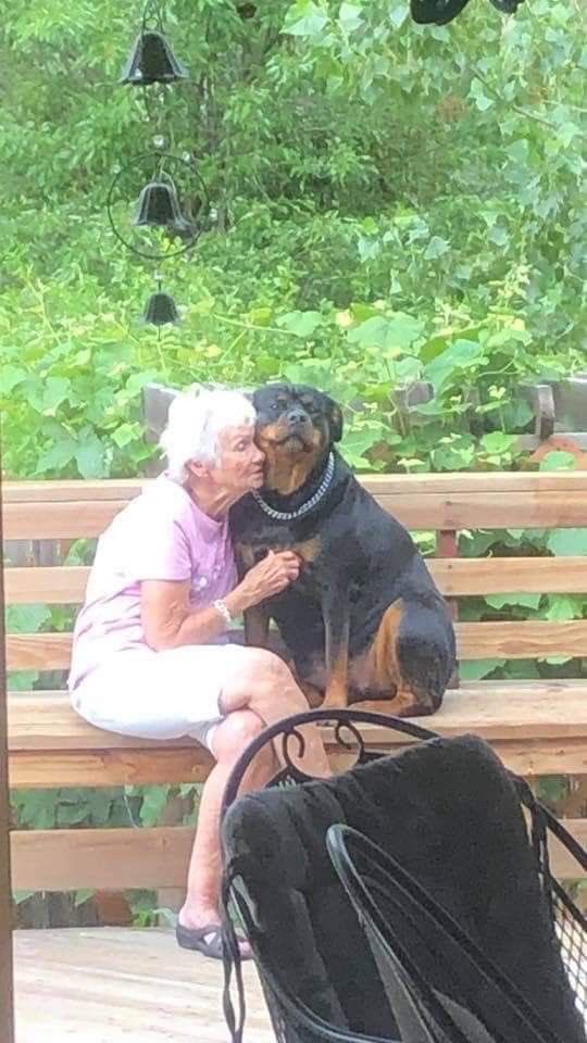 twaniimals's tweet image. 