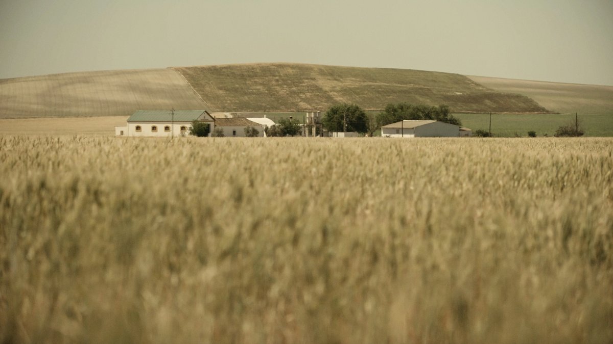 PrimeVideoES's tweet photo. 🕵️‍♂️ En julio de 1975, el cortijo de Los Galindos, en Paradas, Sevilla, se convirtió en el escenario de uno de los crímenes más impactantes de España. Cinco personas fueron brutalmente asesinadas en circunstancias misteriosas. #LosGalindos #TrueCrime https://t.co/RdexQT5BUz