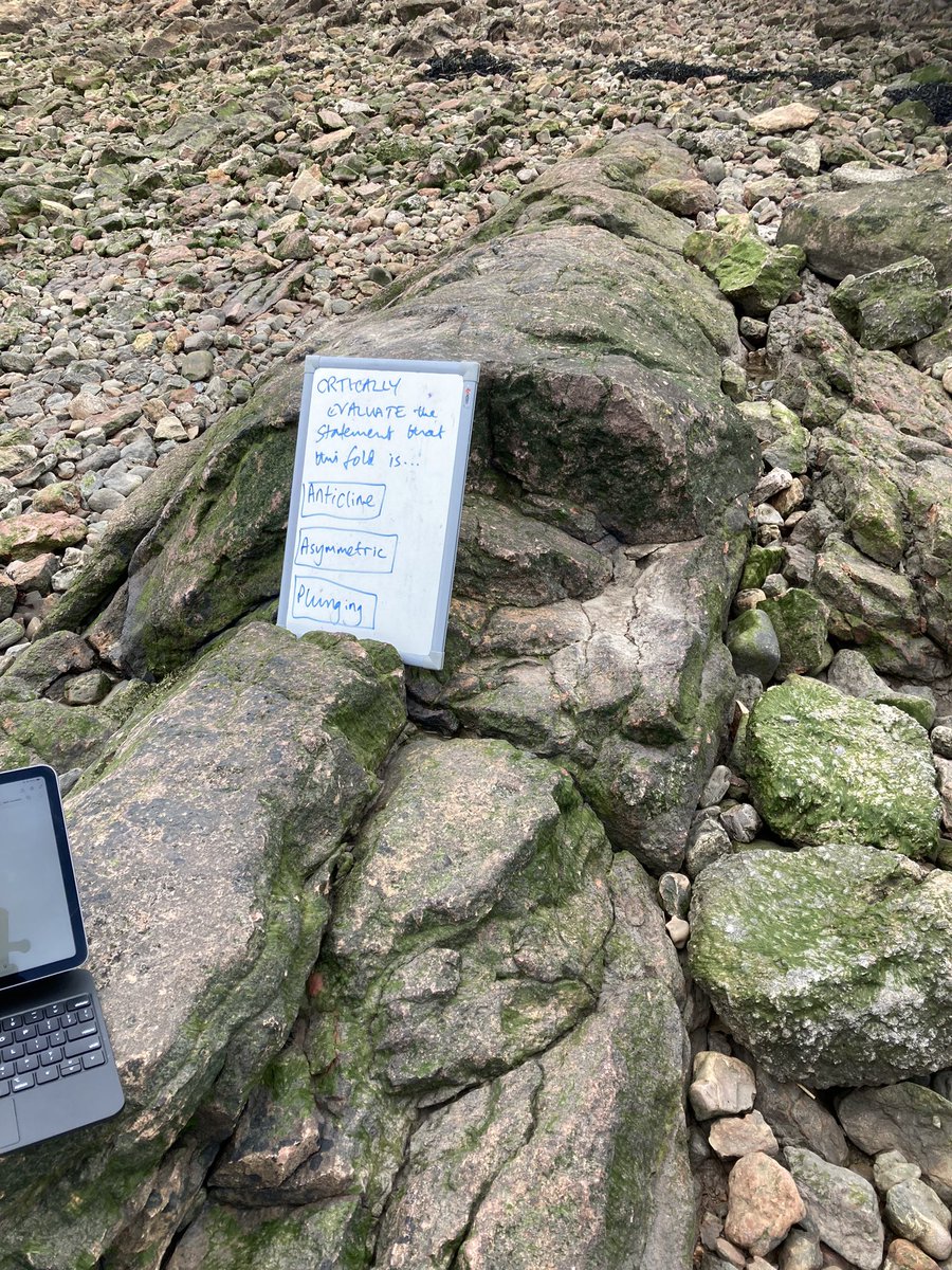 Radley Geology tweet media