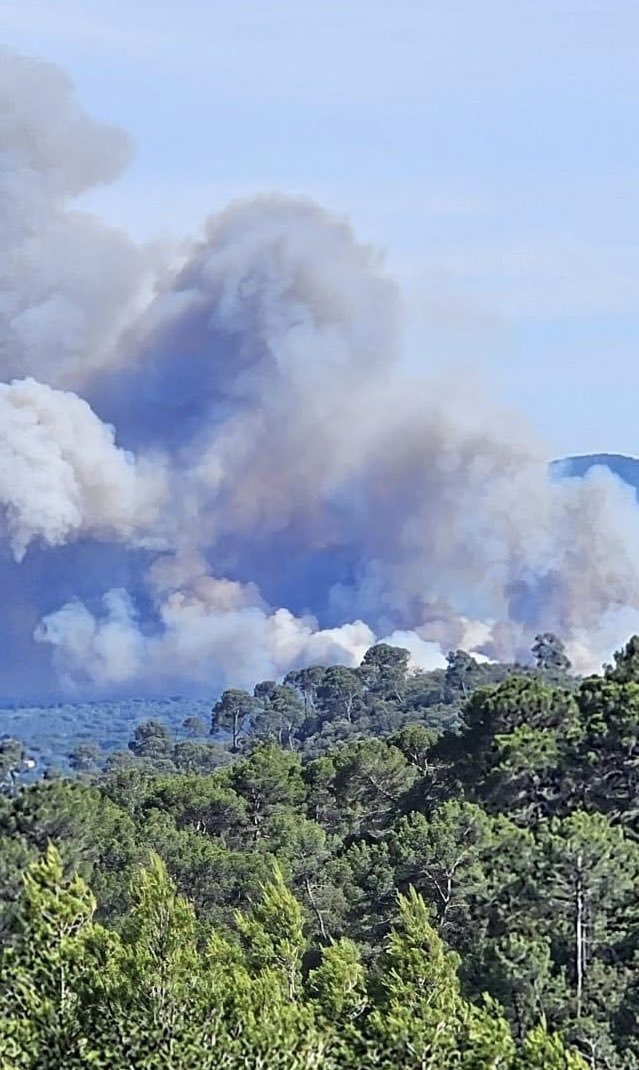 MeteoCotedAzur's tweet photo. 🔥🔴 #InfoIncendie
 11/06/2024 à 17h20 : En #direct de l’incendie de la plaine des #Maures à #Vidauban(83) ! Au moins plusieurs dizaines d'hectares brûlés et les rafales de vent compliquent le travail des pompiers.  #Nice06 #CotedAzurFrance #Info83 #Var https://t.co/xtxUWk9OT1