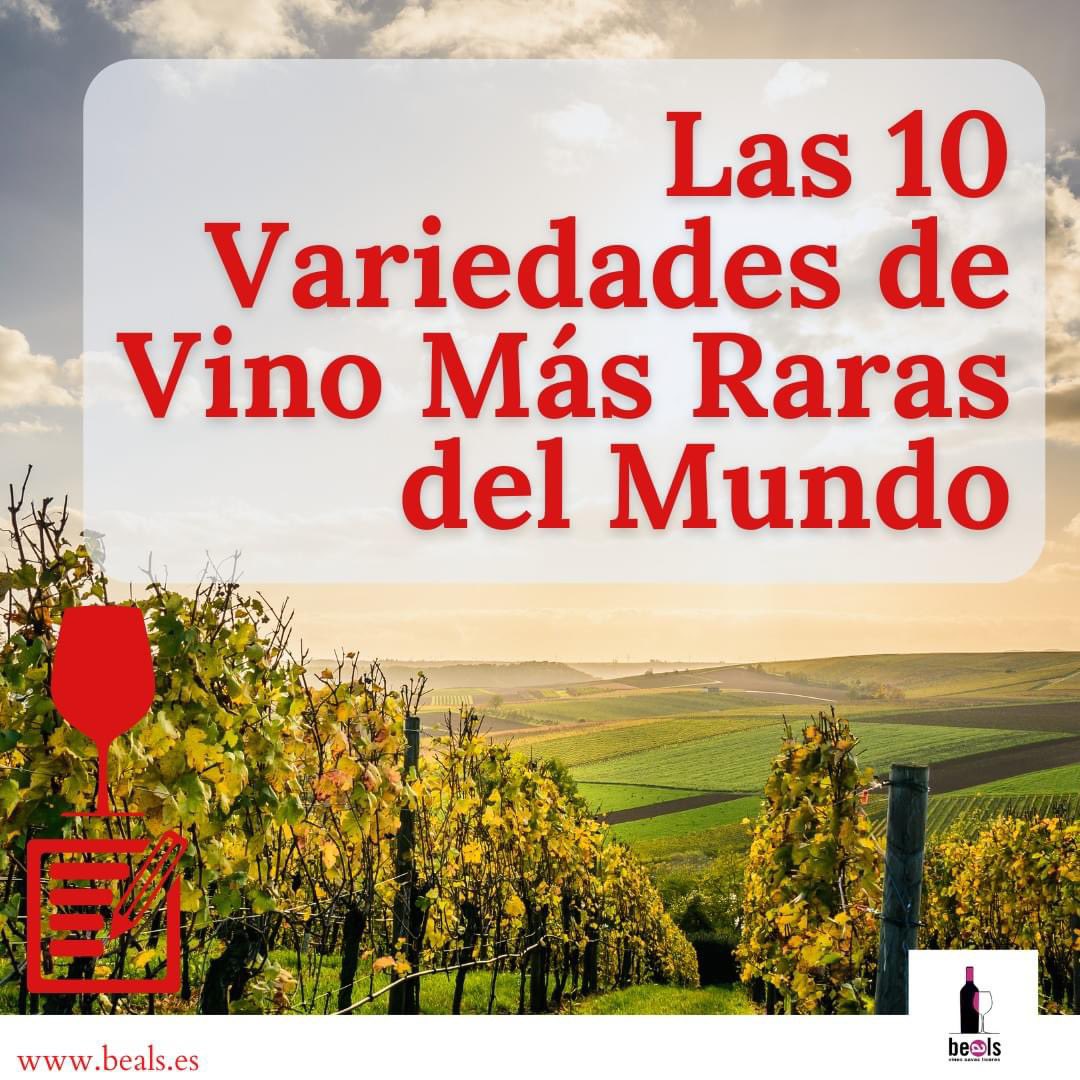 beals_es's tweet photo. ✍️ Nuevo artículo en nuestro blog en el que te contamos cuáles son algunas de las variedades de #vino más raras del mundo, su procedencia y qué es lo que hace que estos vinos sean tan especiales🍷¡No te lo pierdas! ➡️ https://t.co/ns7K4MdHi0 ⬅️ #bealsvalencia #bodegasantander https://t.co/rDmQA6JsCR