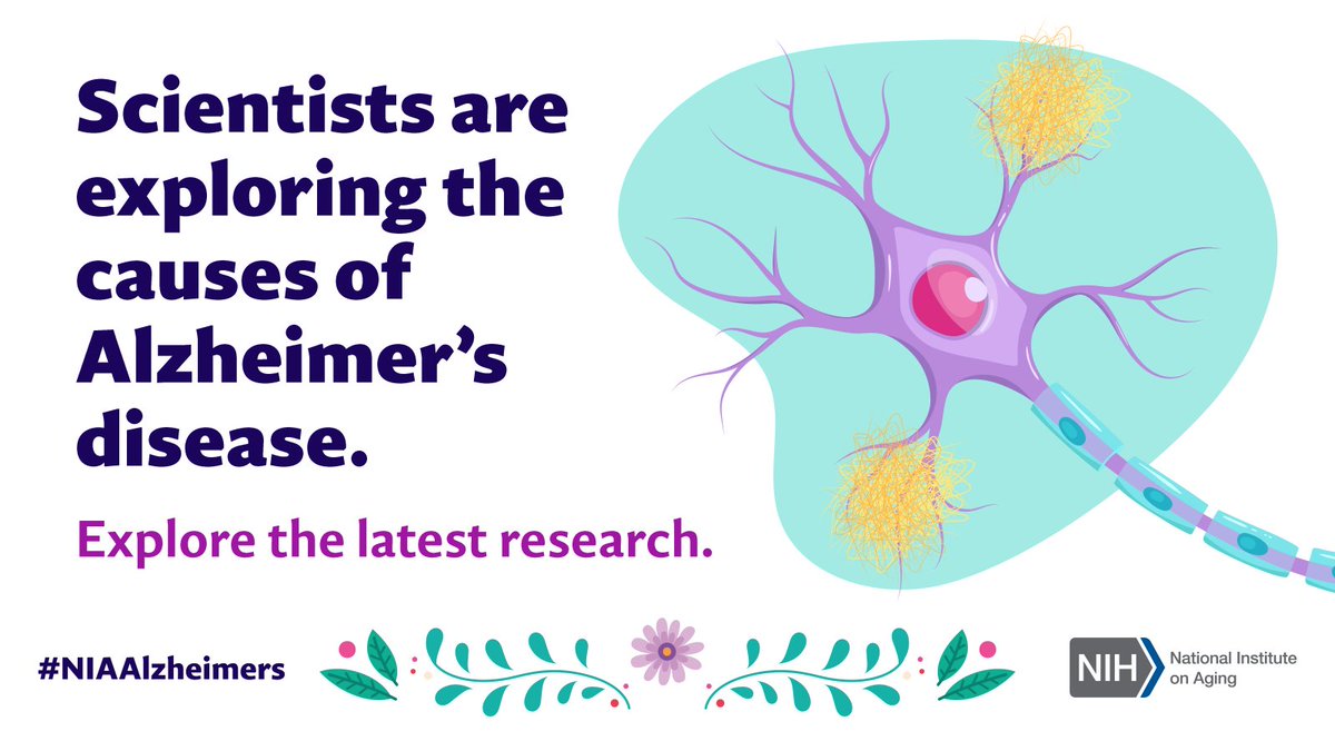 What causes Alzheimer’s disease? Scientists are searching for the answer. It’s likely a combination of brain changes, genes, and factors related to health, the environment, and lifestyle. Learn more: go.nia.nih.gov/3WIVrhB #NIAAlzheimers