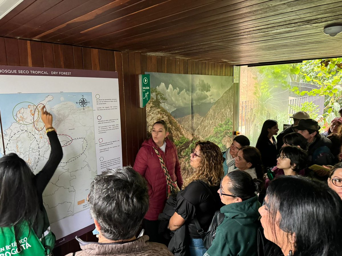 🌈🌿 Estudiantes de las Estrategias de Educación Flexible de la Casa #LGBTI Edward Hernández en Kennedy disfrutan de una experiencia educativa al visitar el <a href="/JBotanicoBogota/">Jardín Botánico BOG</a>.

Este  encuentro les permite explorar la belleza natural y aprender sobre la diversidad de la flora. 🫂🏞️