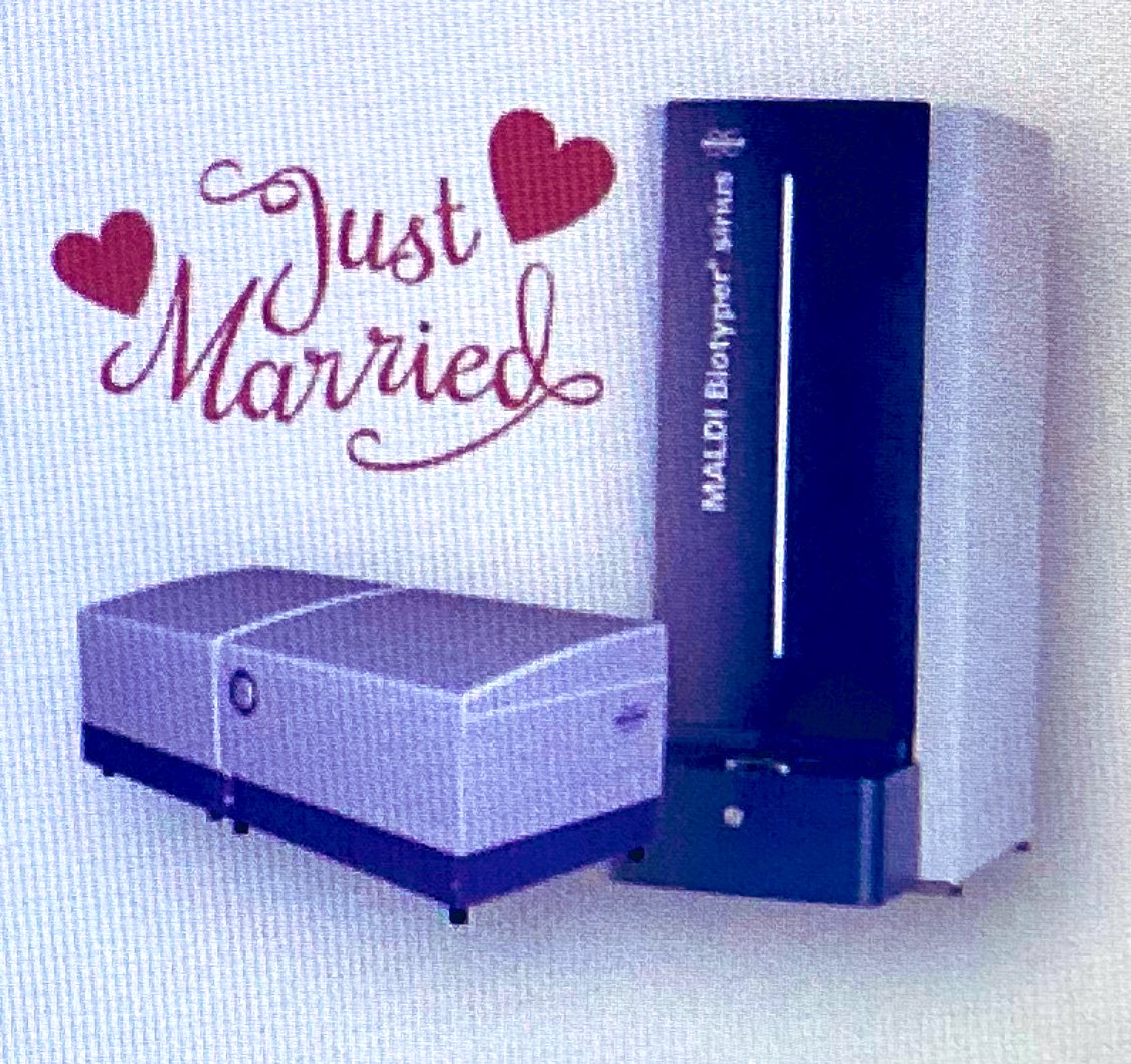 Os los presento a los dos: