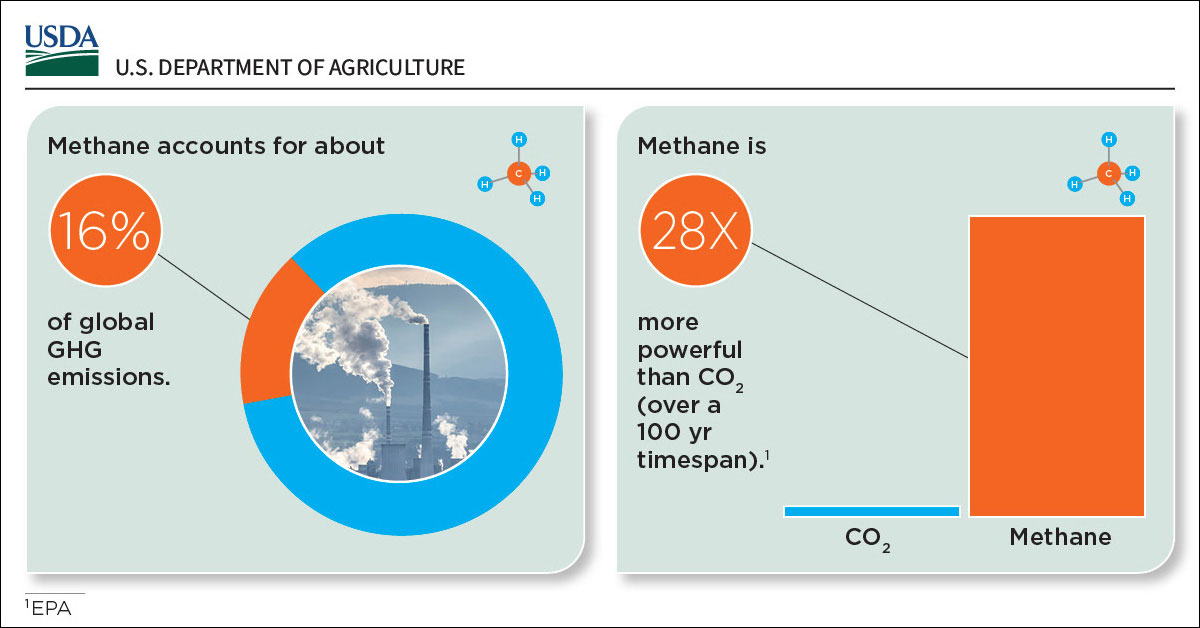 USDA's tweet photo. To learn more, check out the new USDA and @EPA factsheet: Food Waste and Methane: What’s the Connection? https://t.co/ga3KN1HMwh  

#ReduceFLW #ReduceMethane https://t.co/BmTE4jkyks