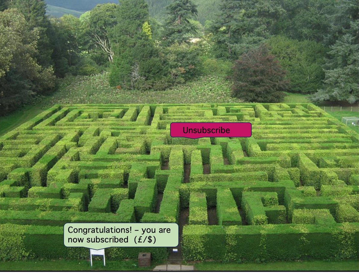 christopher loughlan tweet media