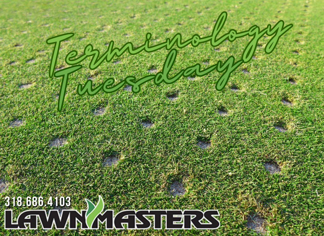 Lawnmasters318's tweet image. It&apos;s #TerminologyTuesday ‼️

 💨 Aeration: A technique used to enhance soil health and turf growth by creating small openings. 

Call our #LawnTech division if your yard needs aerating!

#Lawnmasters #ShreveportLA #ShreveportLawnCare #ShreveportLandscaping