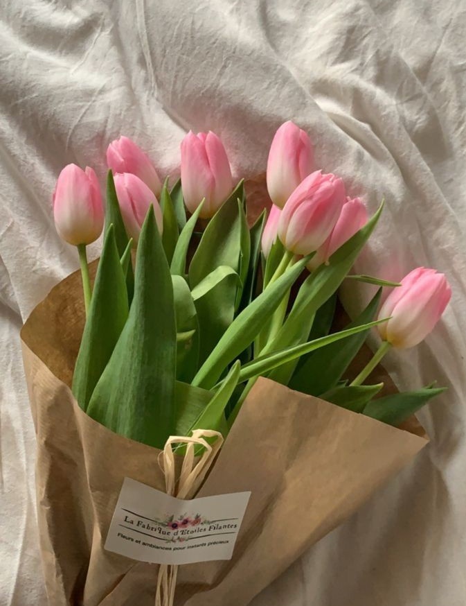 pink tulips
