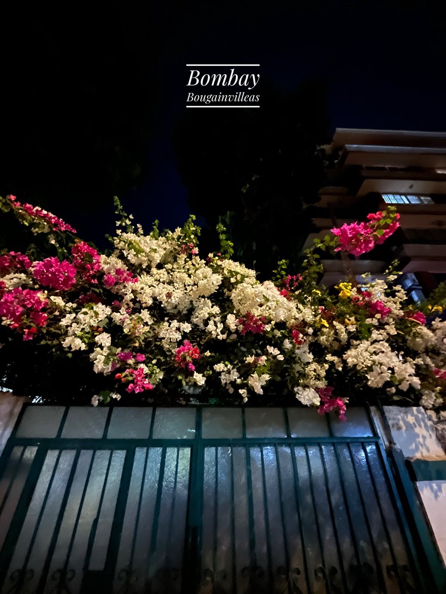 DilawarTalkies's tweet photo. #MappingMumbai https://t.co/nF8H4Qiow2