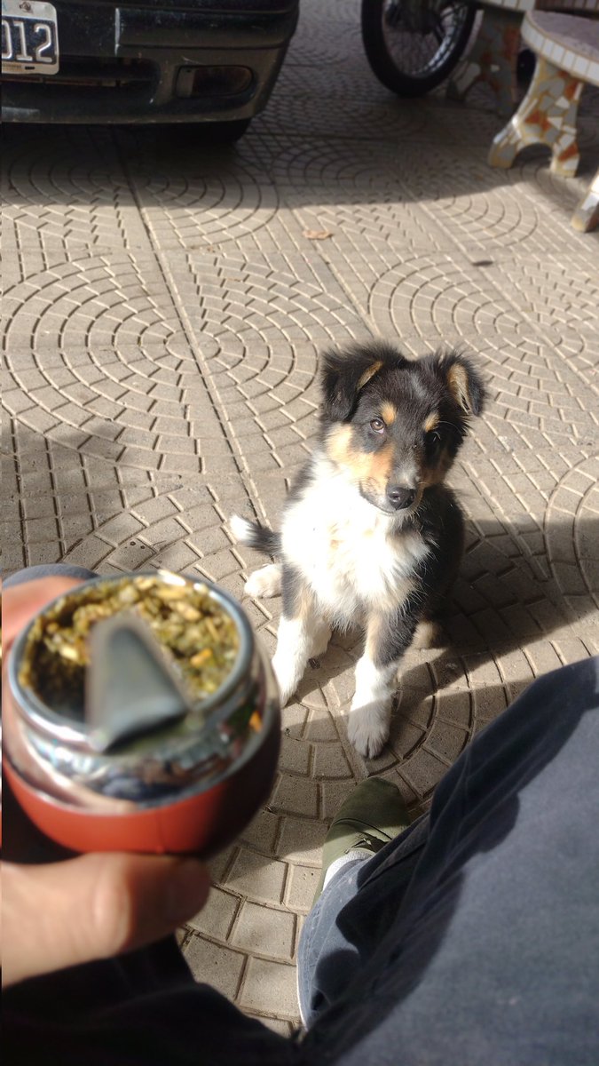 MitoEseiza's tweet photo. 💘❤️‍🩹 https://t.co/9Ar1qGFPvn