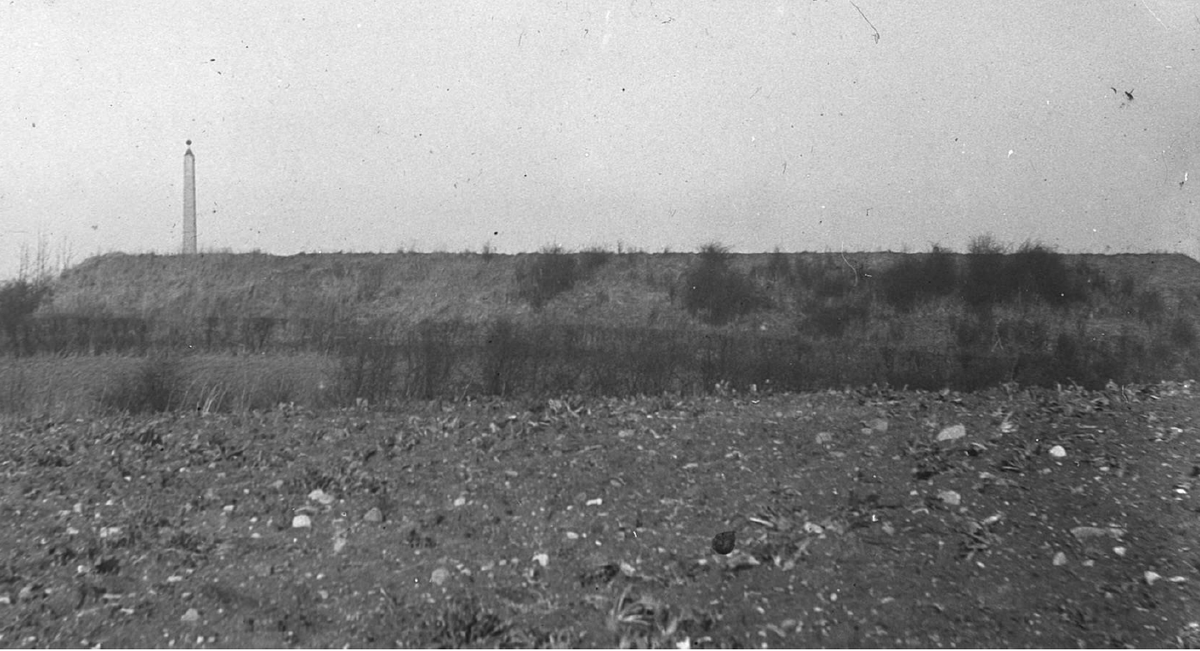 Severus Hill tweet media