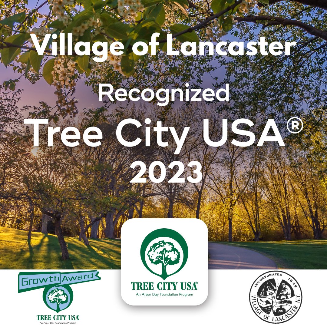 We're thrilled to announce that the Village of Lancaster has not only been recognized as a Tree City USA for the 5th consecutive year but has also been honored with the Tree City USA Growth Award!